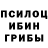 Галлюциногенные грибы Psilocybine cubensis Dok Just