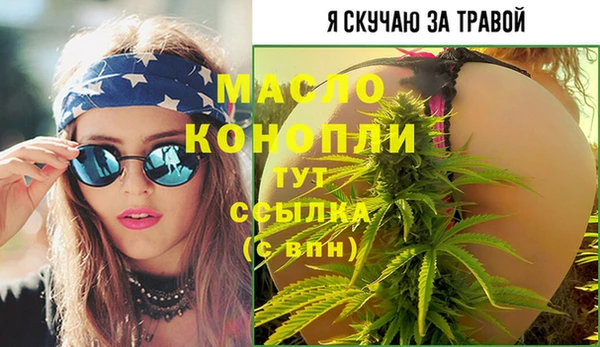 соль ск Каменка