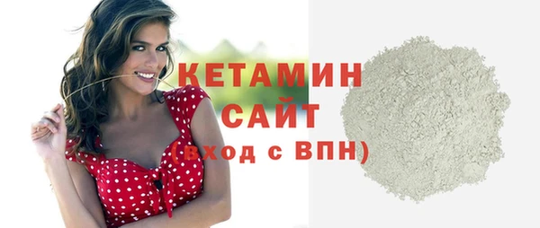 соль ск Каменка
