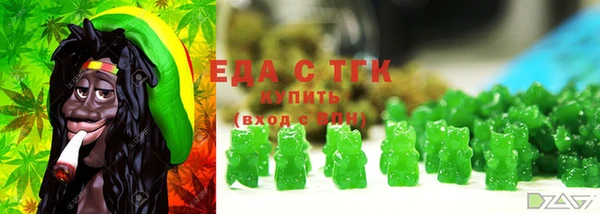 соль ск Каменка