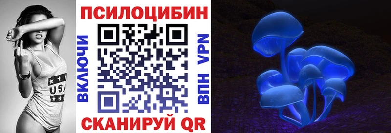 Купить  Петухово  Галлюциногенные грибы Cubensis 